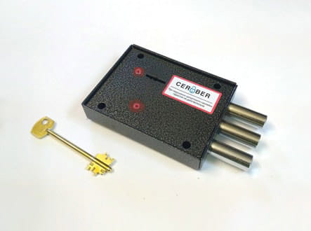 CERBER SERVICE