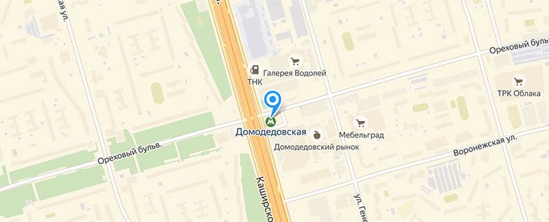 Метро Домодедовская.