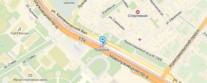 Станция Лужники.